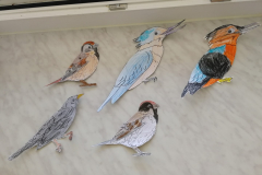 BIRDS ACROSS EUROPE, eTwinning project
