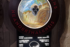 OBISK KRAPINSKIH NEANDERTALCEV
