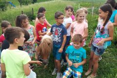 Obiskali smo kmetijo Ivanc