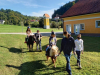 vodeno-jahanje-na-povodcu