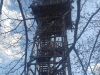 kim_stolp